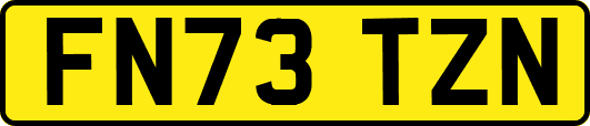 FN73TZN