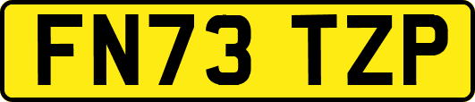 FN73TZP