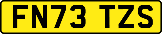 FN73TZS