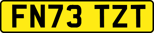 FN73TZT