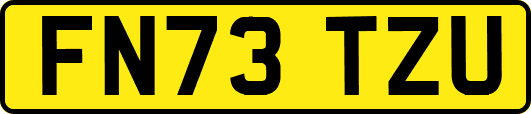 FN73TZU