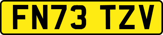 FN73TZV