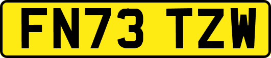FN73TZW