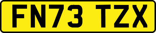 FN73TZX