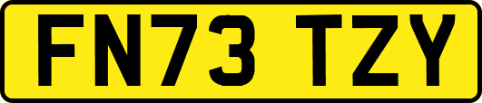 FN73TZY