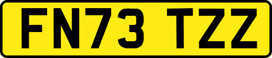 FN73TZZ