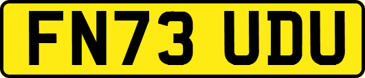 FN73UDU