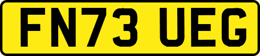 FN73UEG
