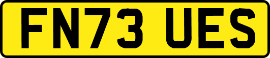 FN73UES
