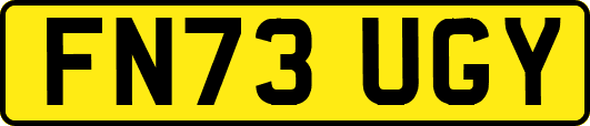 FN73UGY