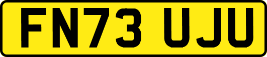 FN73UJU