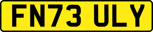 FN73ULY