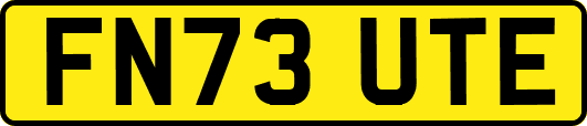 FN73UTE