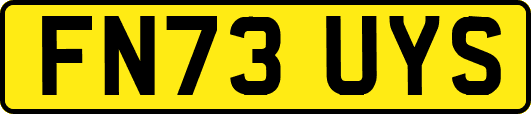 FN73UYS