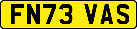 FN73VAS