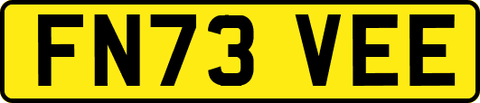FN73VEE