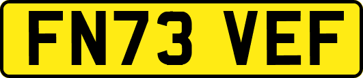 FN73VEF