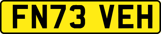 FN73VEH