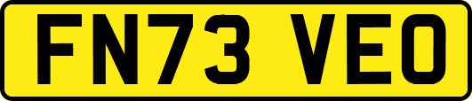 FN73VEO