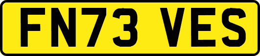 FN73VES