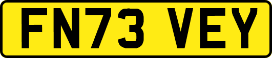 FN73VEY