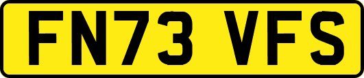 FN73VFS