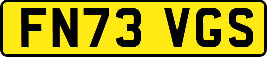 FN73VGS