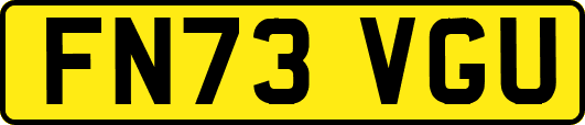 FN73VGU
