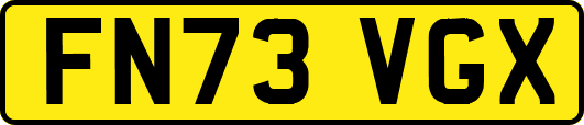 FN73VGX