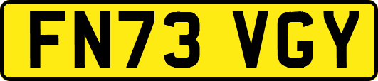 FN73VGY