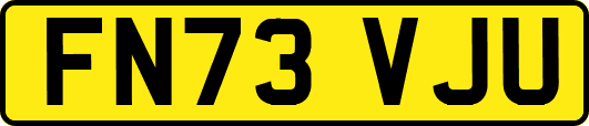 FN73VJU