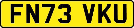 FN73VKU