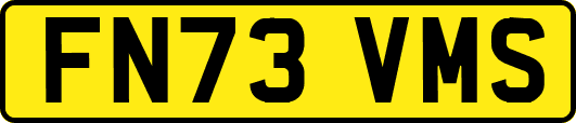 FN73VMS
