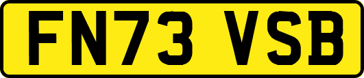 FN73VSB