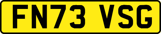 FN73VSG
