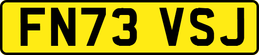 FN73VSJ