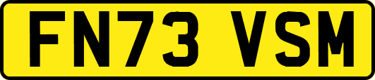 FN73VSM