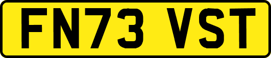 FN73VST