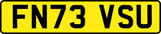 FN73VSU