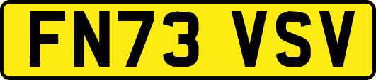 FN73VSV