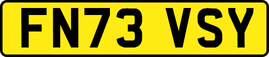 FN73VSY
