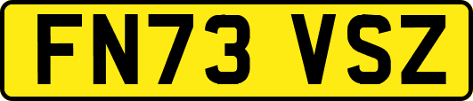 FN73VSZ
