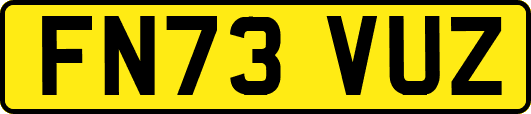 FN73VUZ