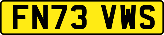 FN73VWS