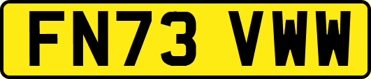FN73VWW