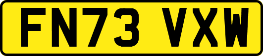 FN73VXW