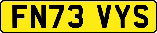 FN73VYS