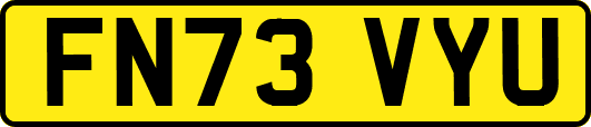 FN73VYU
