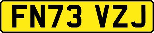 FN73VZJ