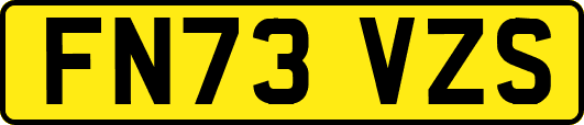FN73VZS